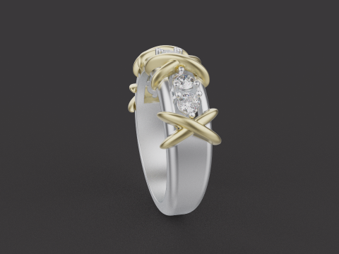 Ring 66466 3D Model
