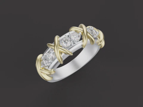 Ring 66466 3D Model