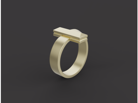 Ring 66399 3D 모델