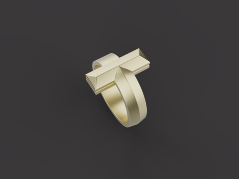 Ring 66399 Model 3D