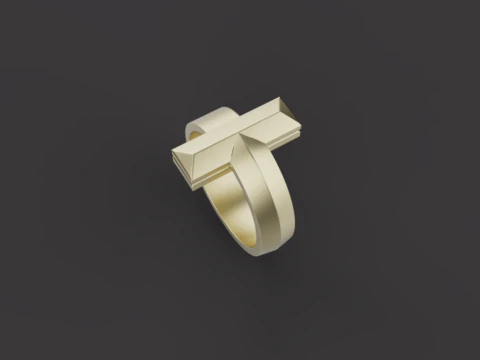 Ring 66399 3D Model