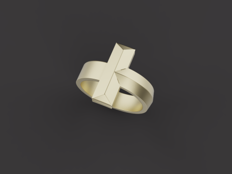 Ring 66399 Model 3D