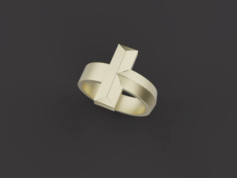 Ring 66399 3D Model