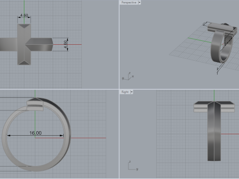 Ring 66399 Model 3D