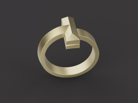 Ring 60737 3D Model