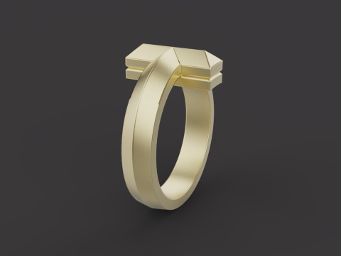 Ring 60737 3D Model