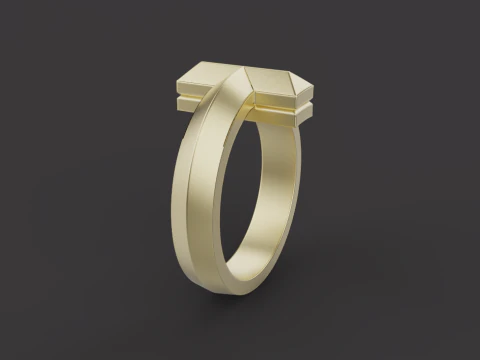 Ring 60737 3D Model