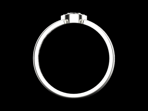 Ring 30620 Model 3D