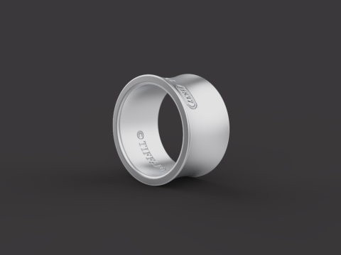 Ring 30541 3D Model