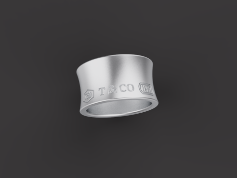 Ring 30541 3D 模型