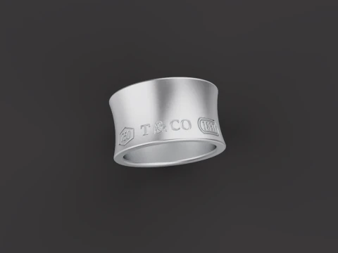Ring 30541 3D Model