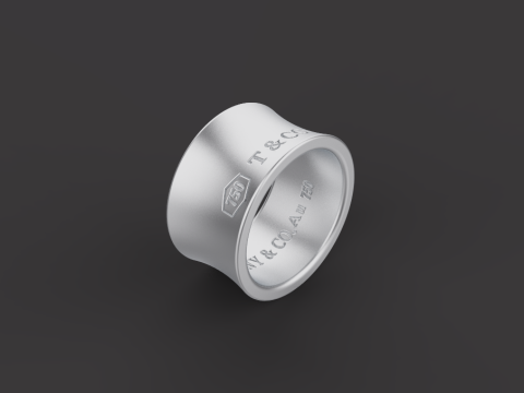 Ring 30541 3D 模型