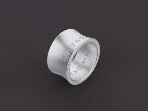 Ring 30541 3D Model