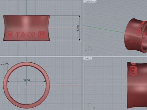 Ring 30541 3D Model
