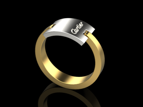 Ring 30101 3D Model