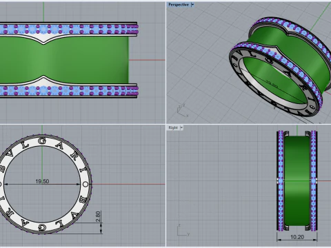 Ring 10700 3D Model