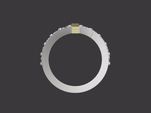 Ring 66732 3D Model