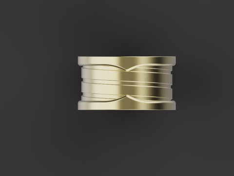 Ring 66731 3Dモデル