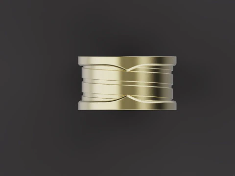 Ring 66731 3D Model