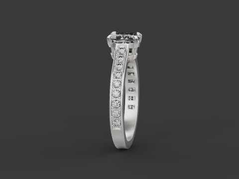 Ring 30923 3Dモデル