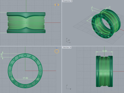 Ring 30349 Model 3D