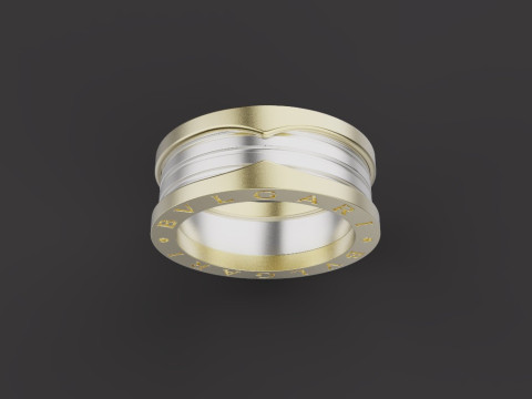 Ring 30495 3D Model