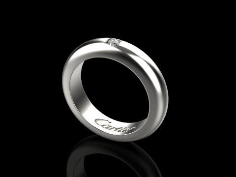Ring 30094 Modelo 3D