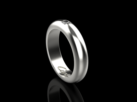 Ring 30094 Modelo 3D