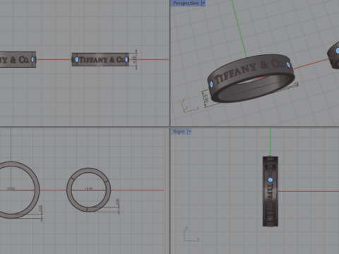 Rings 51235 Modèle 3D