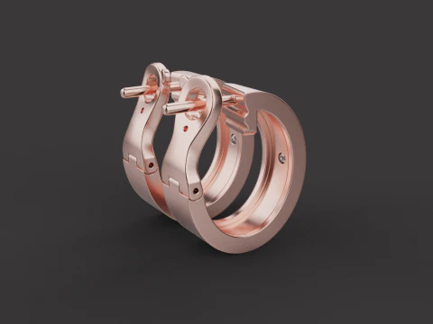 Earrings 67082 3D Model