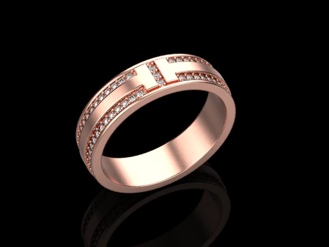 Ring 66960 3D Model