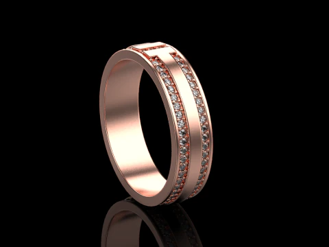 Ring 66960 3D Model