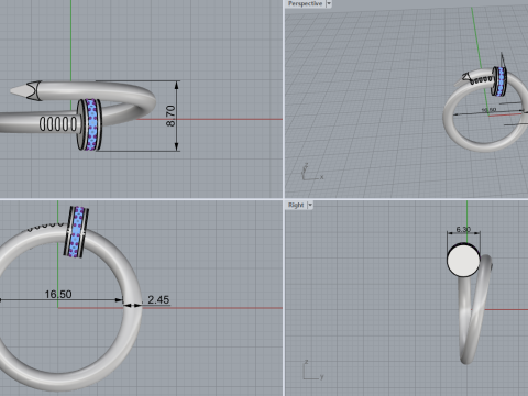 Nail Ring 66580 3D Model