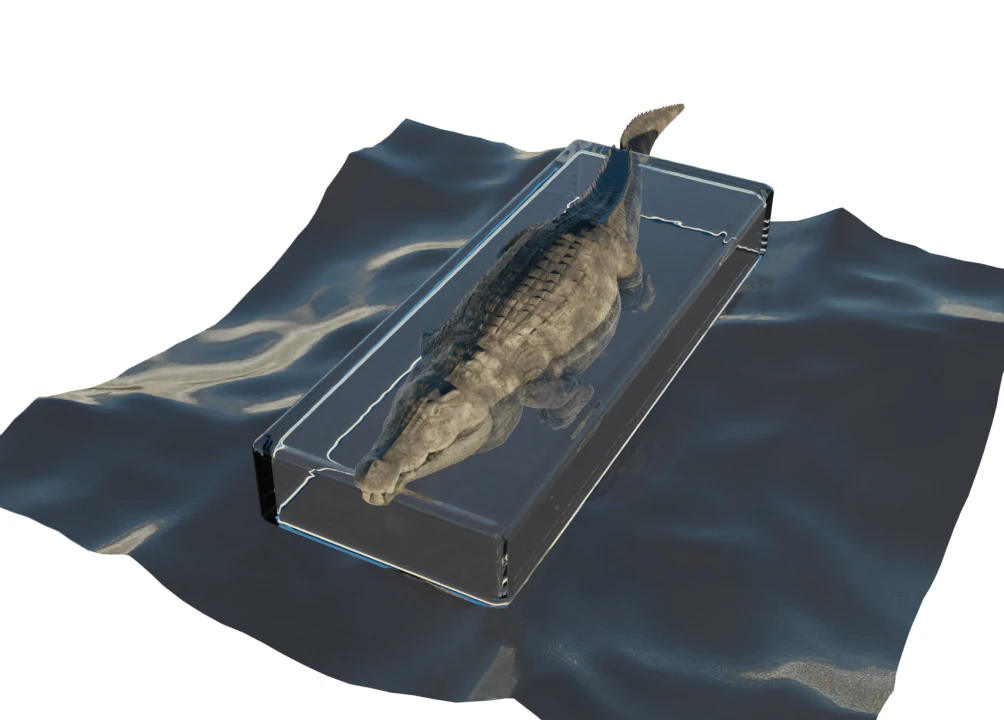 Crocodile 3D Model .c4d .max .obj .3ds .fbx .stl .blend 