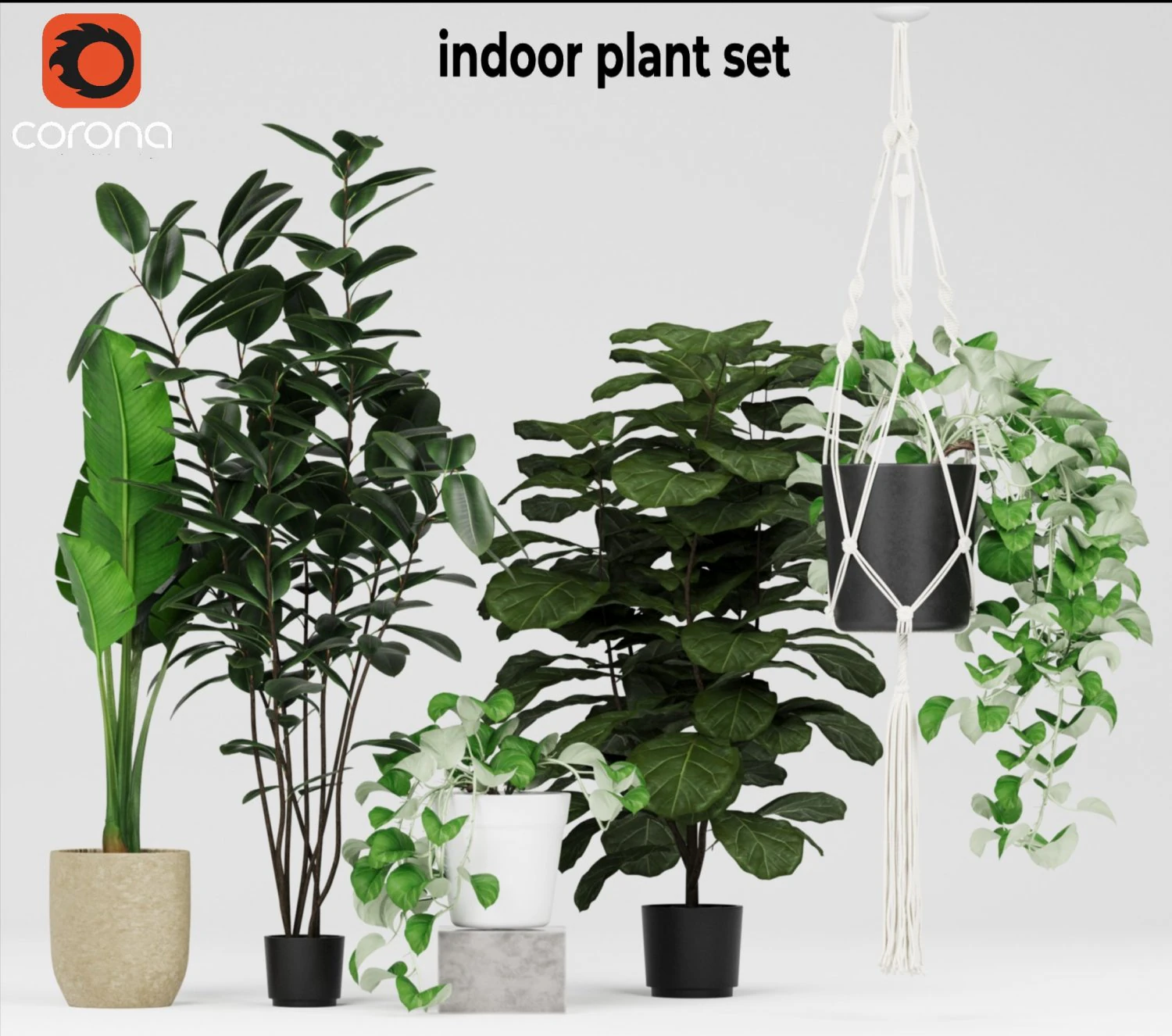 Indoor plant set 3D Model .c4d .max .obj .3ds .fbx .stl .blend