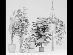 Indoor plant set 3D Model