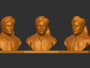 Bhagat Singh 3D Модель