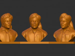 Bhagat Singh Modello 3D