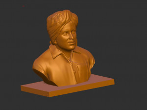 Bhagat Singh Model 3D