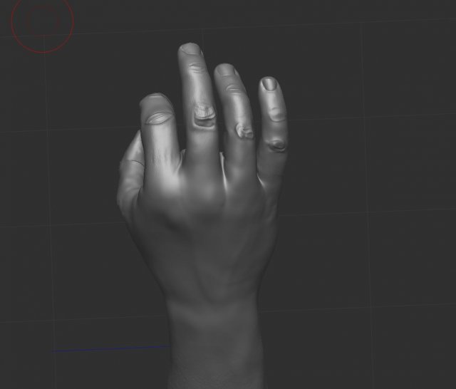 Hand holding diamond 3Dモデル .c4d .max .obj .3ds .fbx .stl .blend 