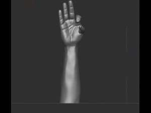Hand holding diamond 3Dモデル