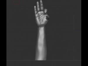 Hand holding diamond 3D Model