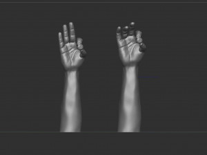 Hand holding diamond 3Dモデル
