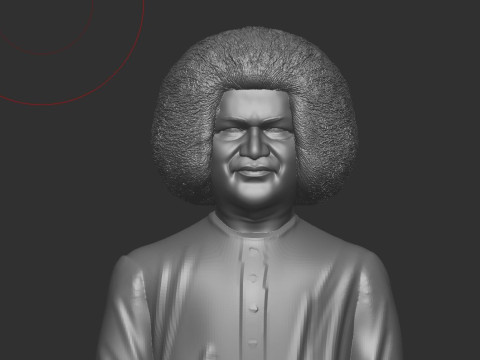 Sathya Sai Baba 3D 打印模型