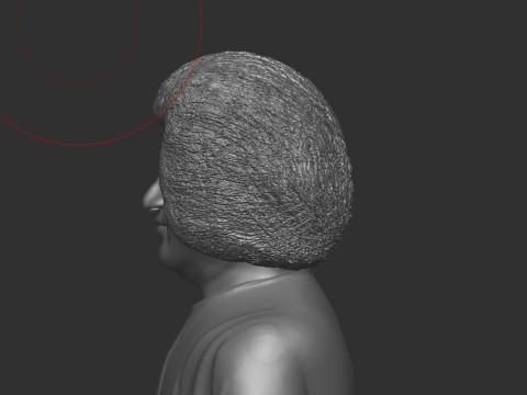 Sathya Sai Baba 3D 打印模型