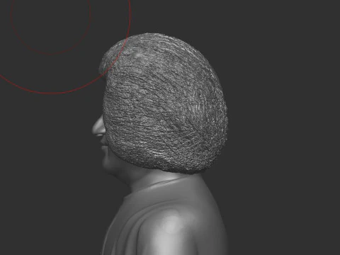 Sathya Sai Baba 3D Print Model