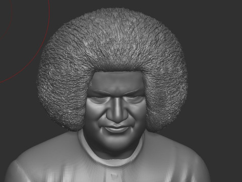 Sathya Sai Baba 3D 打印模型