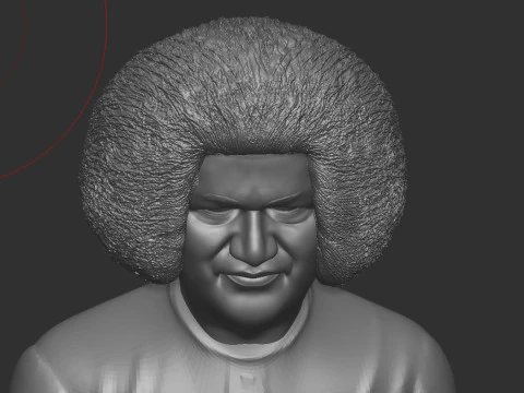 Sathya Sai Baba 3D Print Model