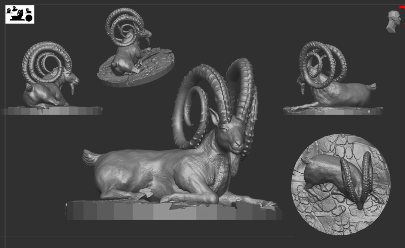 Markhor goat 3D-Modell .c4d .max .obj .3ds .fbx .stl .blend 