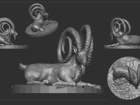 Markhor goat 3D Model